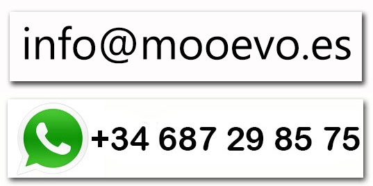 contacta con mooevo