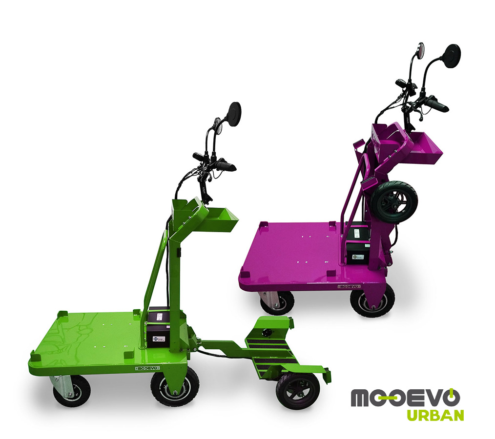 carritos electricos personalizados