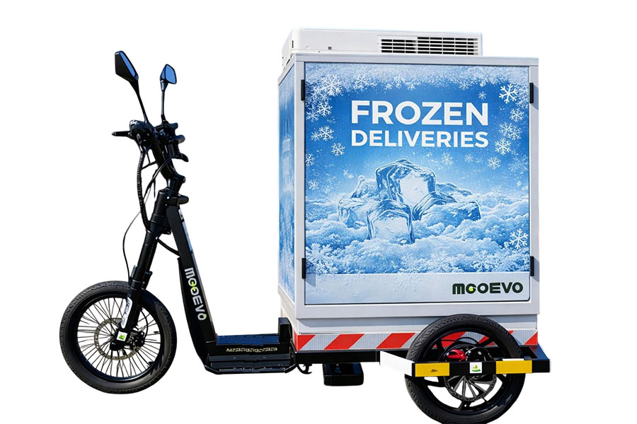 Cajas termicas refrigeradas para triciclos electricos