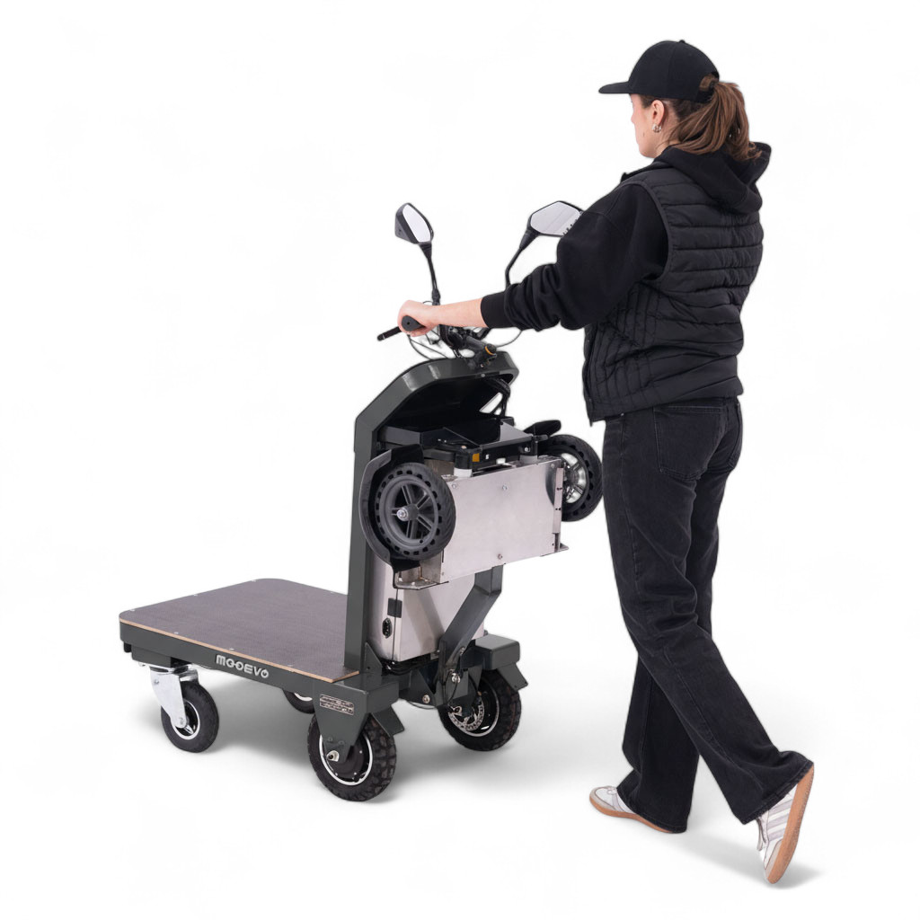 fomentar movilidad electrica mi empresa