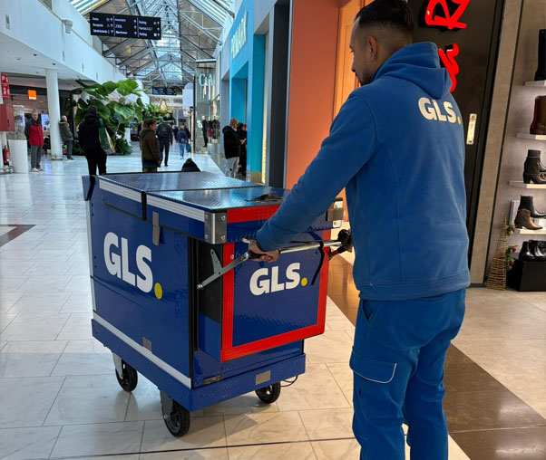 carritos manuales reparto ejemplos profesionales