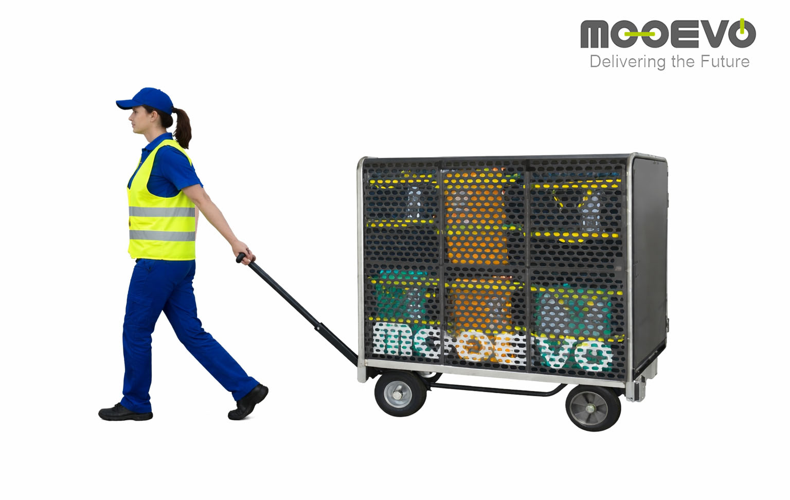 desarrollo sustentable primaria